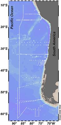 On the Nitrous Oxide Accumulation in Intermediate Waters of the Eastern South Pacific Ocean